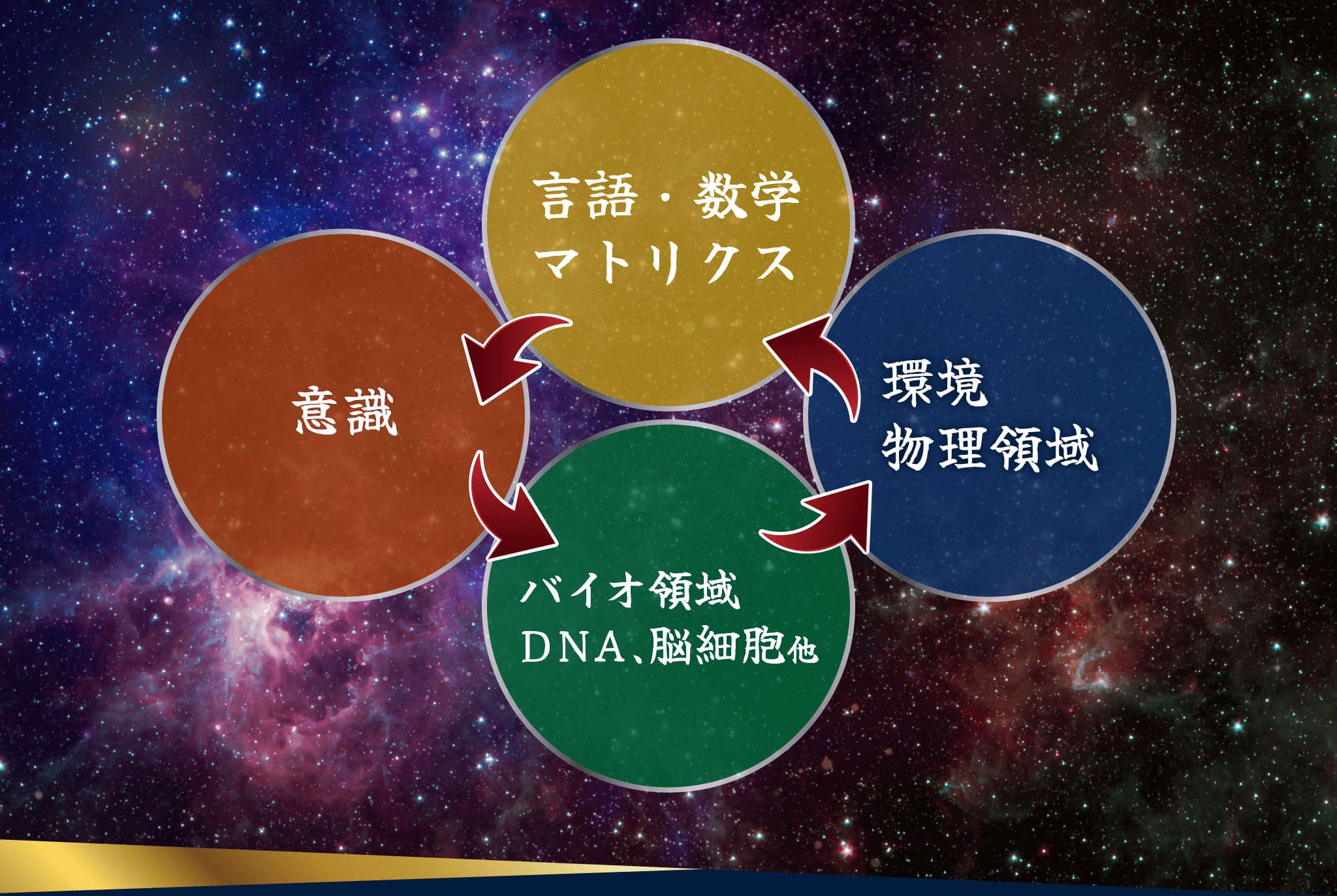 言語・数学マトリクス/意識/バイオ領域DNA、脳細胞他/環境物理領域
