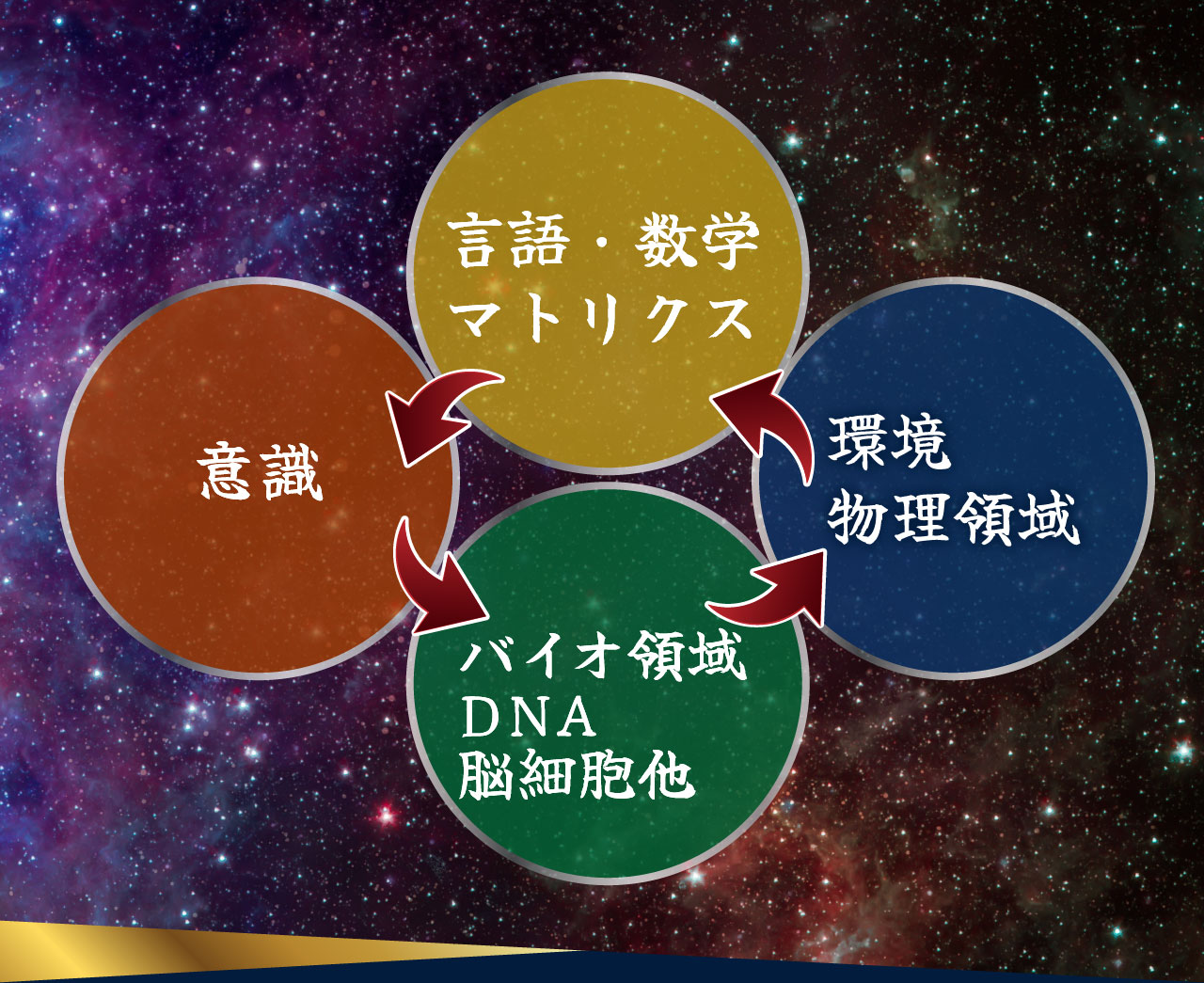 言語・数学マトリクス/意識/バイオ領域DNA、脳細胞他/環境物理領域