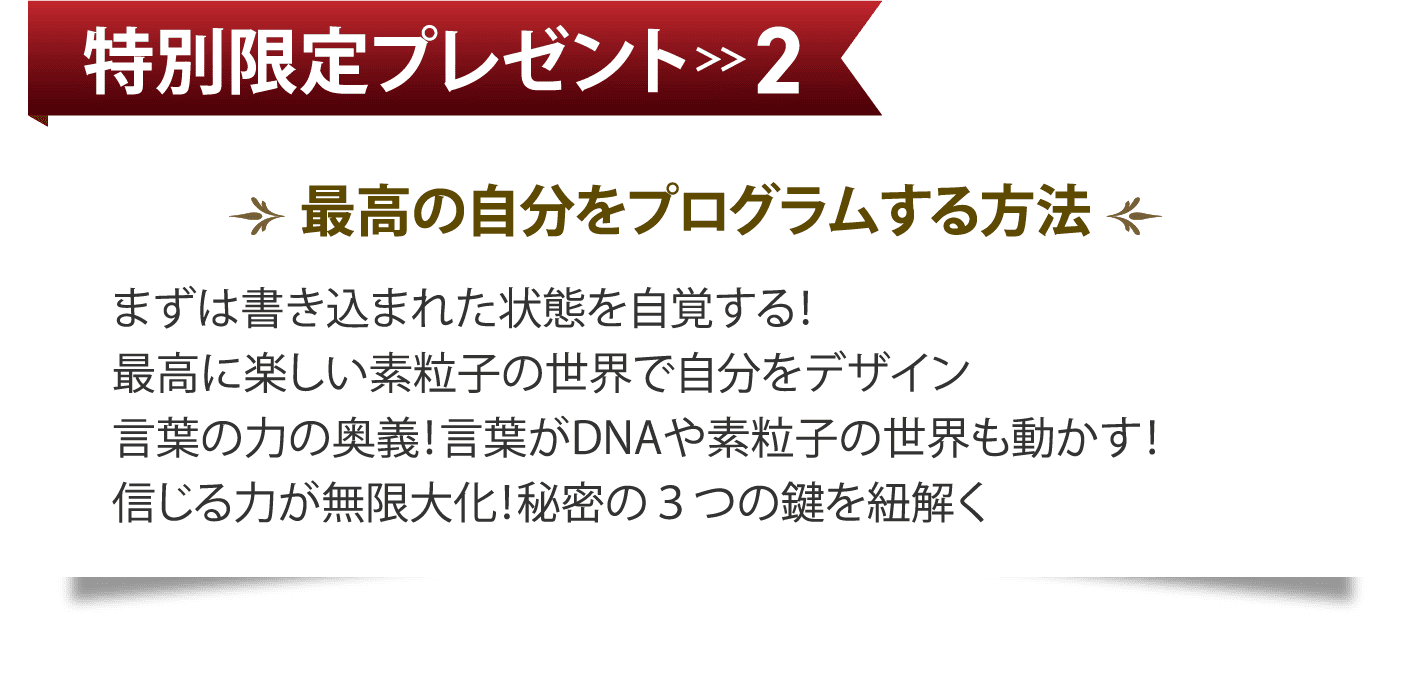特別限定プレゼント2 最高の自分をプログラムする方法