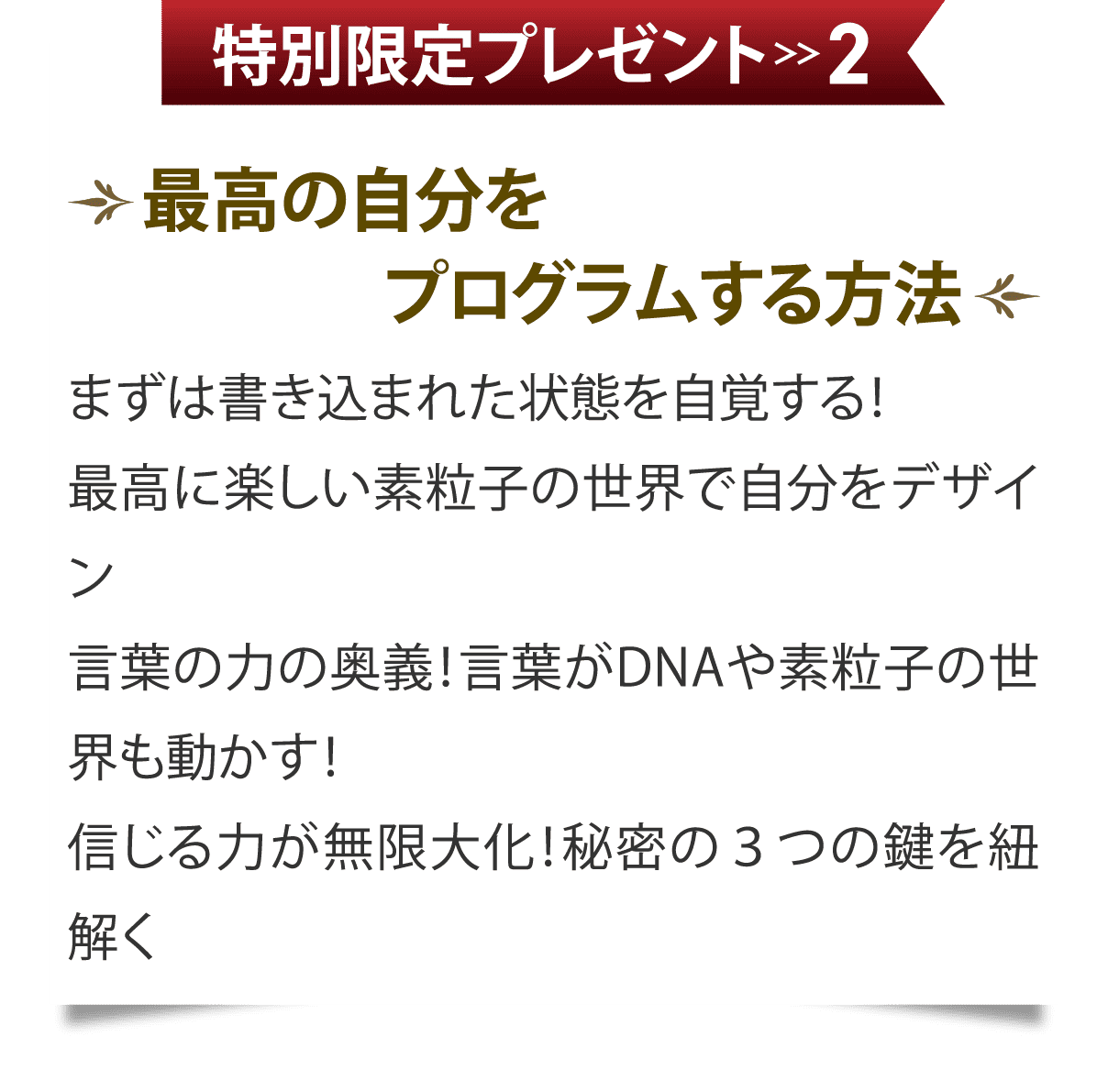 特別限定プレゼント2 最高の自分をプログラムする方法